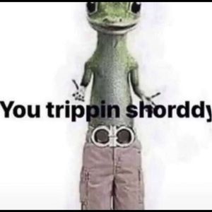 Meet your Posher, Cesar